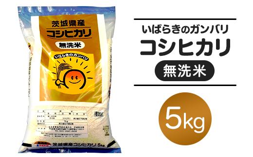 151【令和7年産】茨城県産 無洗米 コシヒカリ 5kg
