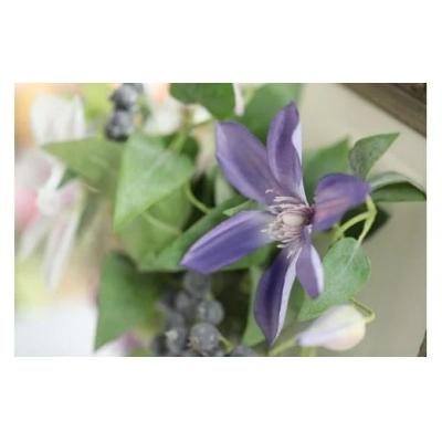 ふるさと納税 北上市 【空気をキレイにするお花】クレマチスの壁掛け フラワーアレンジメント