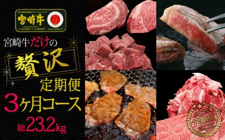 ブランド黒毛和牛＜宮崎牛＞贅沢肉定期便 3ヵ月コース 合計23.2kg ※寄附完了日の翌月より配送開始【G15】