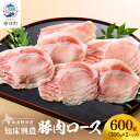 【ふるさと納税】知床興農 豚ロース肉　600g(300g×2パック)【配送不可地域：離島】【1513738】