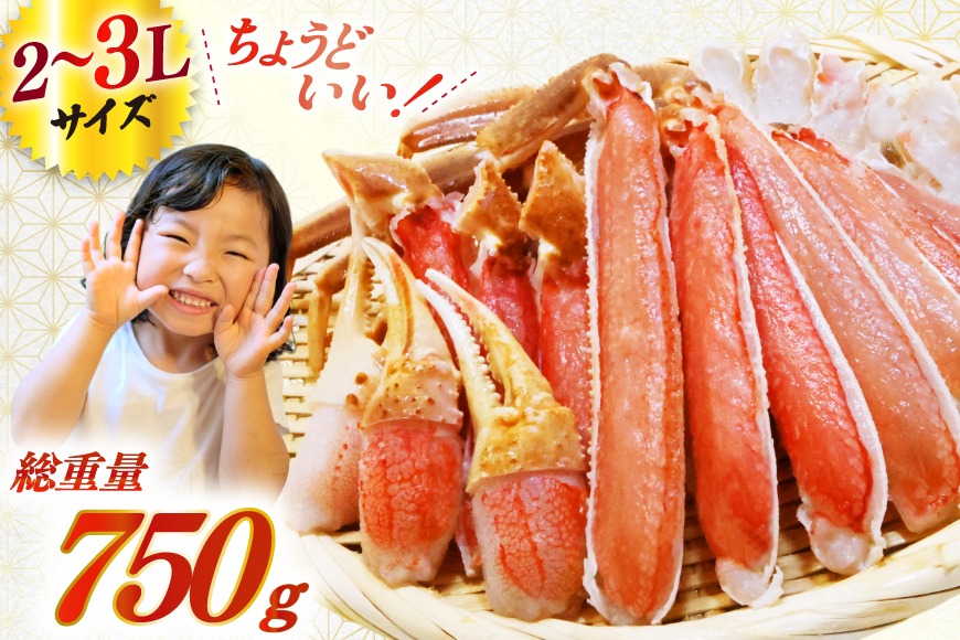 かに【年内配送】 カット済 生 ずわいがに むき身 セット 総重量 750g (正味重量600g) 2-3Lサイズ [カネダイ 宮城県 気仙沼市 20565652] かに カニ ズワイガニ ずわい ズワイ 蟹 棒肉 ポーション かに鍋 かにしゃぶ 生ずわい