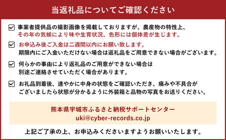 宇城市産 自然栽培不知火 約5kg（15～22玉）【高岡農園】【2025年3月上旬～2025年4月上旬発送予定】不知火 デコポン 柑橘 果物 フルーツ