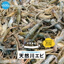 【ふるさと納税】24-480．天然食材！四万十川の天然川エビ 約500g 国産 高知 四万十市 四万十 しまんと 四万十川 川 天然 えび エビ 川エビ 海老 バーベキュー BBQ キャンプ 手長エビ テナガエビ 濃厚 旬 送料無料 お取り寄せ