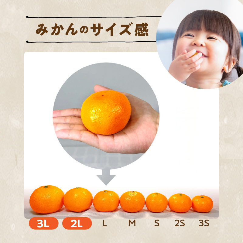 MK1033_【2025年先行予約】みかん 大玉 どっこいしょ 箱込 5kg ( 内容量 4.4kg ) 2Lサイズ以上 秀品 優品 混合 有田みかん 和歌山県産 産地直送 【みかんの会】