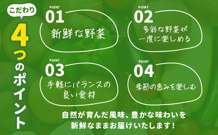 【定期便3回】野菜 10品程度 詰め合わせ