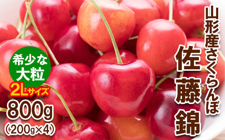 
            さくらんぼ 佐藤錦”希少な大粒” 2Lサイズ 800g(200g×4パック) 【令和7年産先行予約】FS24-611くだもの 果物 フルーツ 山形 山形県 山形市 2025年産
          