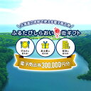 【ふるさと納税】ふるたびしらおいe街ギフト　300,000円分　白老町 旅行 北海道旅行 チケット 電子商品券 ふるさと納税 旅行