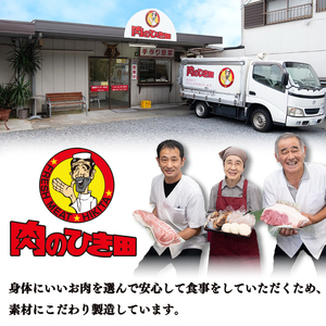 限定 松阪牛入り ハンバーグ 10個 合計1kg 松阪牛 ブランド牛 国産 冷凍 おかず 惣菜 小分け 個包装 肉 ブランド ギフト 贈り物 贈答 お取り寄せ 神戸牛 近江牛 に並ぶ 日本三大和牛 合