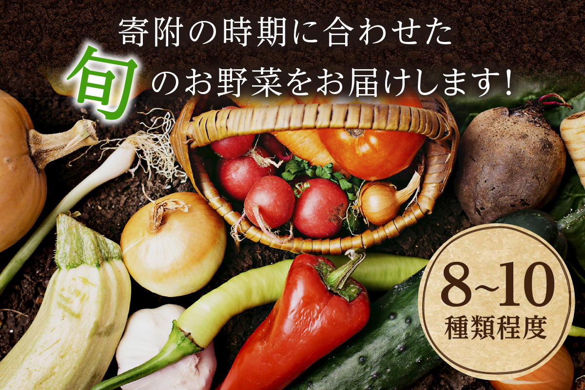 <アスカ有機農園>旬の京丹後野菜セットS（栽培期間中　農薬・化学肥料不使用）　AY00001