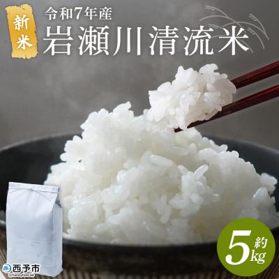 ふるさと納税 西予市 &lt;令和7年産 新米 岩瀬川清流米 5kg 選べる こしひかり コシヒカリ