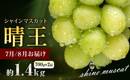 ぶどう シャインマスカット 晴王 1.4kg 2房 彩美菜果《7月上旬-9月中旬頃出荷》 マスカット 送料無料 岡山県 浅口市 フルーツ 果物 贈り物 国産 岡山県産 くだもの 果物 青果物 7月～8月発送 【配送不可地域あり】（北海道・沖縄・離島）