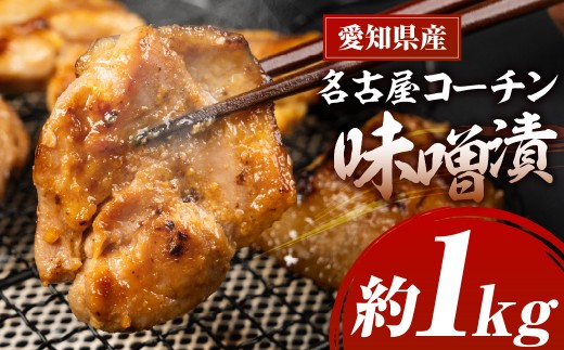 名古屋コーチン味噌漬 800g （400g×2箱）味付け肉 味付き肉 味付け 味付き 国産 もも むね 鶏肉 鳥肉 約 1kg 1キロ モモ ムネ もも むね 名古屋コーチン 地鶏 ブランド地鶏 とりもも とりむね 錦爽鶏 愛知県 豊橋市 肉 お肉 冷凍 愛知県 豊橋市