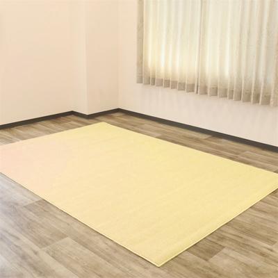 ふるさと納税 泉大津市 抗ウィルス抗アレル物質抗菌消臭防ダニ【P-1000】カーペット(約176×約261)クリーム