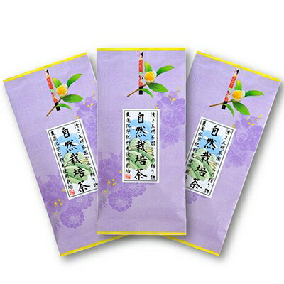 【ふるさと納税】自然栽培茶(化学肥料・農薬未使用)深蒸し掛川茶100g×3袋【配送不可地域：離島・沖縄県】【1091798】
