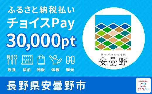 
安曇野市チョイスPay 30,000pt（1pt＝1円）【会員限定のお礼の品】
