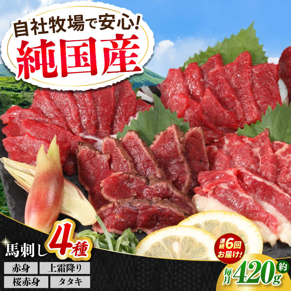 【ふるさと納税】【全6回定期便】『純国産』熊本の味 馬刺し 満喫 4種 セット 計約420g 赤身 上霜降り 桜 タタキ 食べ比べ 馬肉 熊本 ばさし 冷凍 詰め合わせ 合志 定期 定期便【有限会社 九州食肉産業】[AYCN031] 馬刺 霜降り 国産