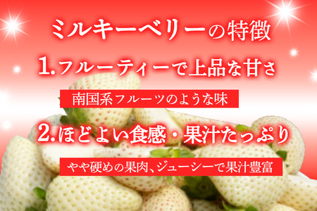 [先行予約] 【定期便3回】 日光産 人気のいちご3品種定期便 (毎月1品種 約1,200g×3回 計3,600g) 【2027年1月中旬から順次発送】 [0978]