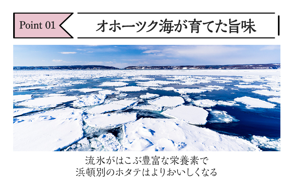 【1月末発送】 ホタテ 貝柱 冷凍 大粒　1kg（500ｇ×2パック） お取り寄せ 刺身 《横田水産》