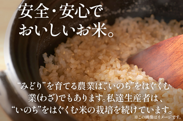 令和7年産 新米予約 合鴨米「元気つくし」（玄米・5kg） ※2025年10月より順次出荷予定　BI09