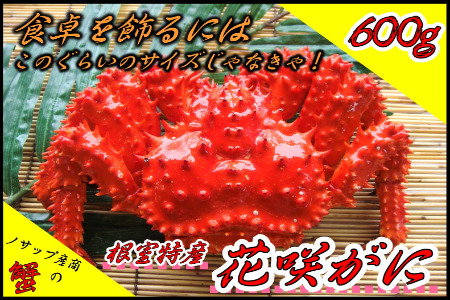 [12月21日決済分まで年内配送]【北海道根室産】ボイル冷凍花咲がに600g×1尾 A-59019
