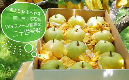 【やなファーム】二十世紀梨　5kg Q1