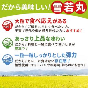 雪若丸 定期便 ( 5kg × 1袋 ) 12回 お届け 米 精米 山形 08-30-047