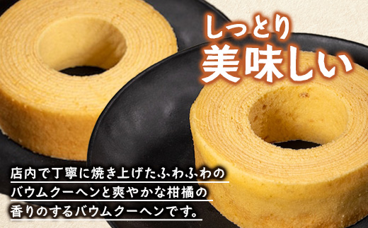 素材にこだわった南大隅町の手作りスイーツ　バウムクーヘン 2個セット ( プレーン ・ たんかん )