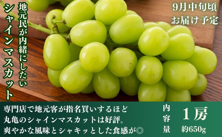 フルーツ定期便 丸亀市夏のいいとこどり定期便/ 少人数でも楽しみやすい食べきり版【全3回】シャインマスカット 桃 ピオーネ いちご みかん さぬきひめ 定期配送 頒布会 果実 果物