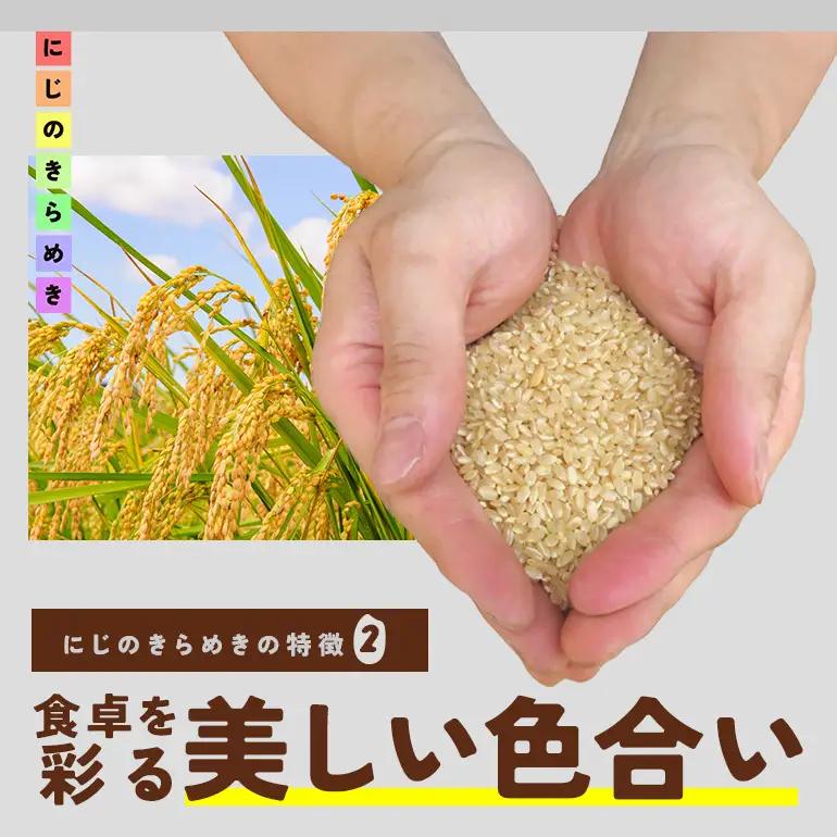 玄米 米 10kg にじのきらめき FH-016