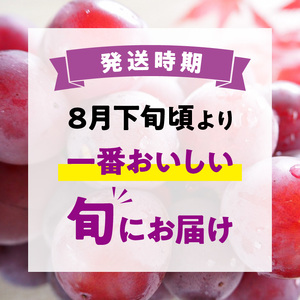 ピオーネ ぶどう ブドウ 大粒 濃厚【先行予約】ロゼピオーネ 約2kg フルーツ ふるーつ 果物 くだもの 三豊市【配送不可地域：北海道・沖縄県・離島】_M02-0066  ぶどう ブドウ