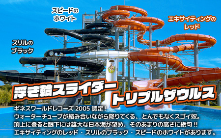 芝政ワールド スーパーパスポート3名様（おとな2名・こども1名） 遊園地 プール チケット レジャー施設 [D-3903]