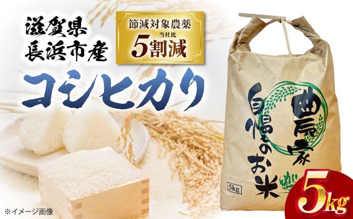 
            【スピード発送】【令和7年産】 米 コシヒカリ 5kg 白米 こしひかり 環境こだわり農産物 こめ ご飯 こしひかり コシヒカリ 5kg 5キロ お米 こだわり米  滋賀県長浜市/狩野農園 [AQDK001]
          