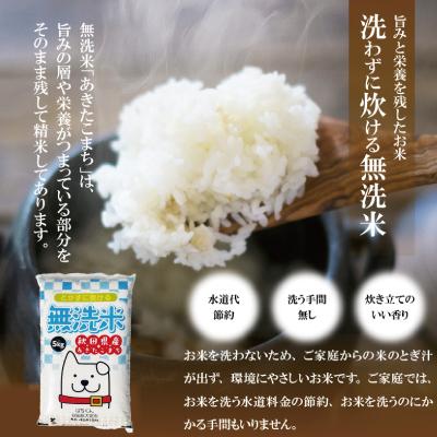 ふるさと納税 大館市 新米先行受付【定期便3ヶ月】令和7年産秋田県産あきたこまち(無洗米)5kg |  | 02