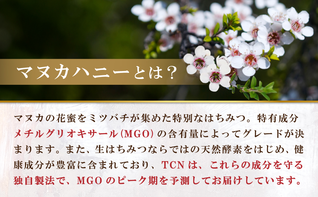 【定期便全６回】マヌカハニー MGO1050+ 500g ストロングマヌカハニー・T147