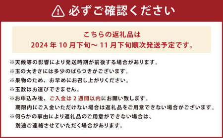 福岡県産ブランド柿・秋王 約1.5kg （4-6玉） 柿 カキ かき 果物 くだもの フルーツ 冷蔵 国産 岡垣町 【2024年10月下旬～11月下旬発送予定】