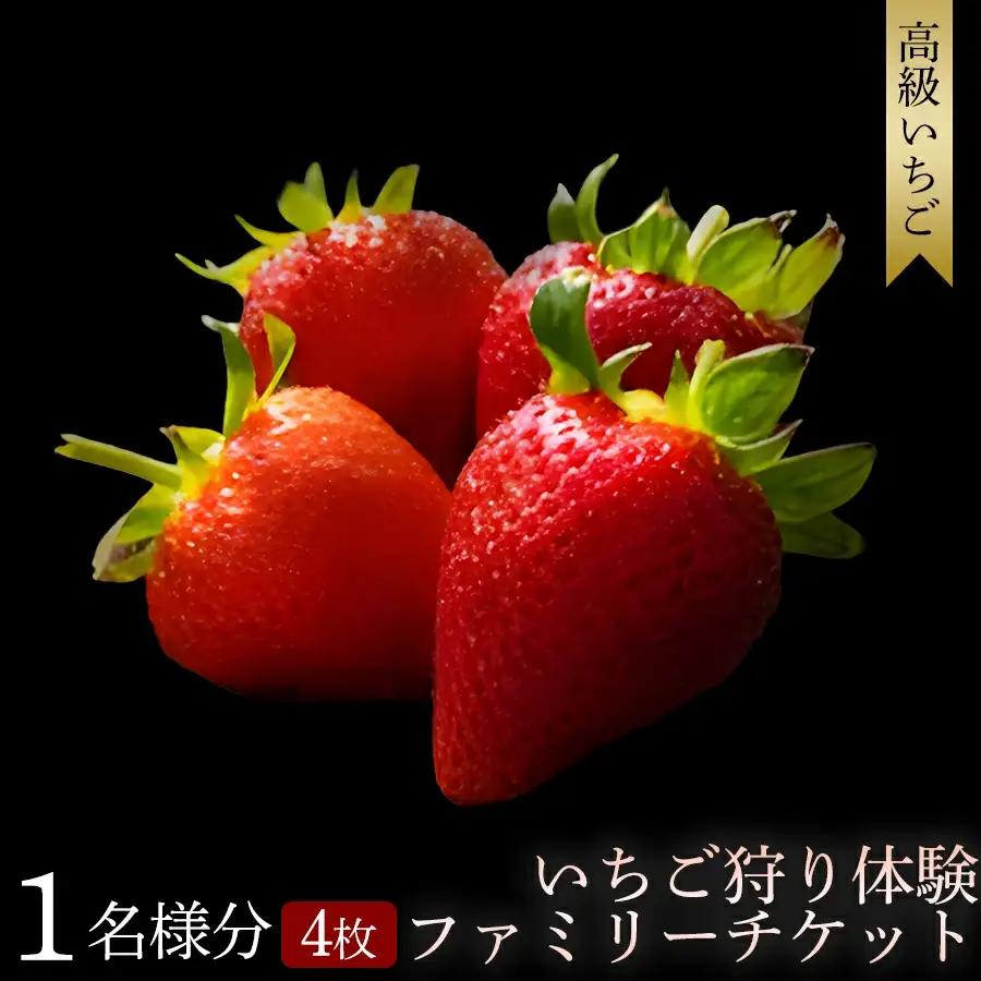 【体験】いちご狩り体験ファミリーチケット【maato003A】