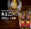 【ふるさと納税】南九州市産 ウォッカ 角玉乙ウォッカ 1.8L 2本 乙 ハイボール チューハイ おすすめ 黄金千貫 瓶 お酒 洋酒 晩酌 芋焼酎 白樺炭 国産 さつまいも お取り寄せ グルメ 鹿児島県産 南九州市 送料無料