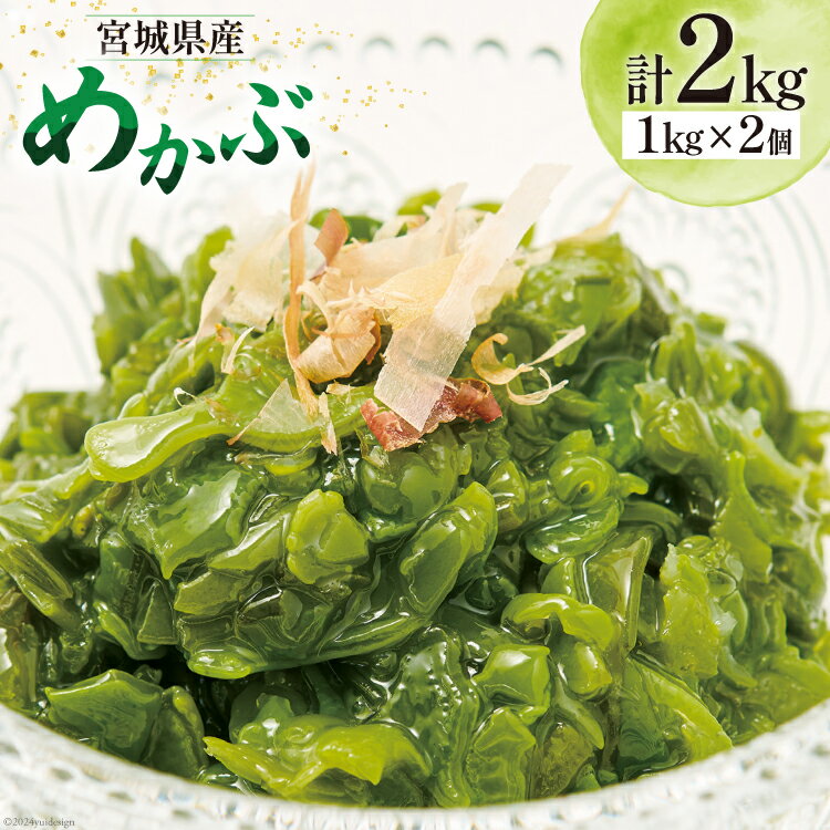 【ふるさと納税】海藻 宮城県産 めかぶ 1kg×2個入 ( 冷凍 ) [カネキ吉田商店 宮城県 南三陸町 30ax0001] メカブ 芽カブ 藻