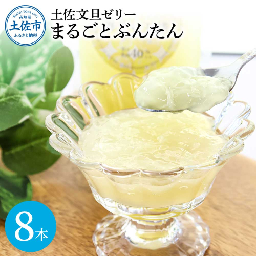 土佐文旦ゼリー『まるごとぶんたん』8本セット ゼリー飲料 ぜりー ブンタン ぶんたん フルーツ 果物 柑橘 みかん お菓子 おかし おやつ デザート スイーツ おいしい【土佐文旦産直協同組合】 [BQAH003]
