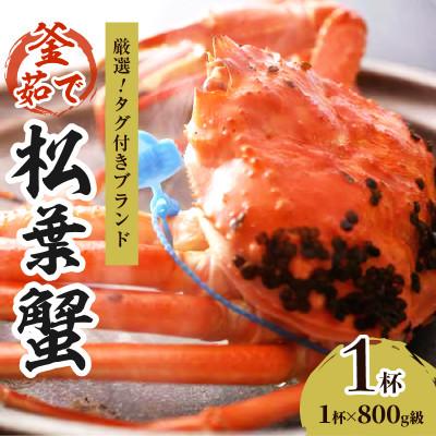 ふるさと納税 京丹後市 ズワイガニ【厳選!タグ付きブランド】茹で松葉かに 鮮度品質自慢!釜茹でにてお届け! 800g級×1杯