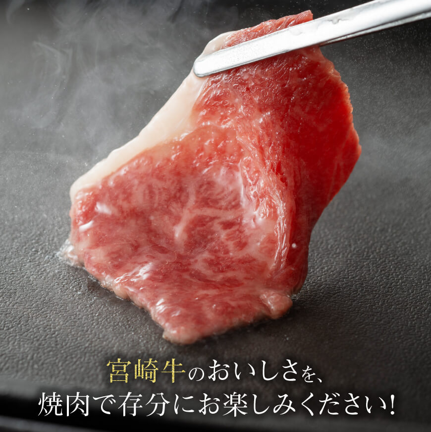 宮崎牛 肩焼肉 400ｇ 【 肉 牛肉 宮崎牛BBQ アウトドア 日本ハム 】