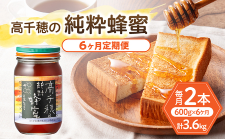 【6ヶ月定期便】日本みつばち 高千穂の純粋蜂蜜 300g×2本 セット 瓶 蜂蜜 はちみつ ハチミツ 百花蜜 自然蜜100% 調味料 定期 はちみつセット 瓶 贈答 贈り物 ギフト プレゼント おすそ分け 普段使い セット 高千穂産 国産 _Tk006-t019