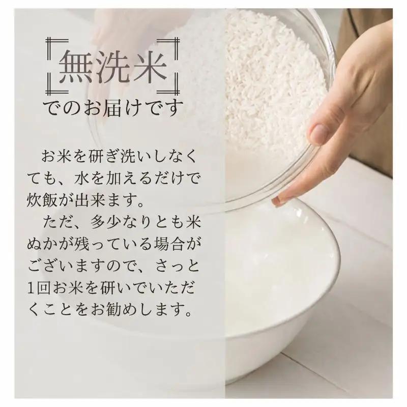 【定期便：無洗米10kg×10ヶ月】ブランド米    魚沼産コシヒカリ 米 こしひかり 新潟 定期