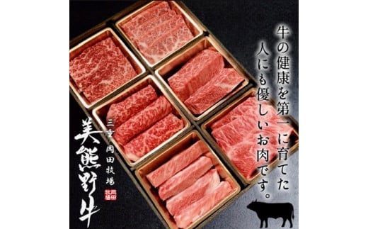【美熊野牛】6種の部位が楽しめる食べ比べ焼肉セット カルビ ロース 赤身 お肉 黒毛和牛 牛肉 希少 和牛 焼肉