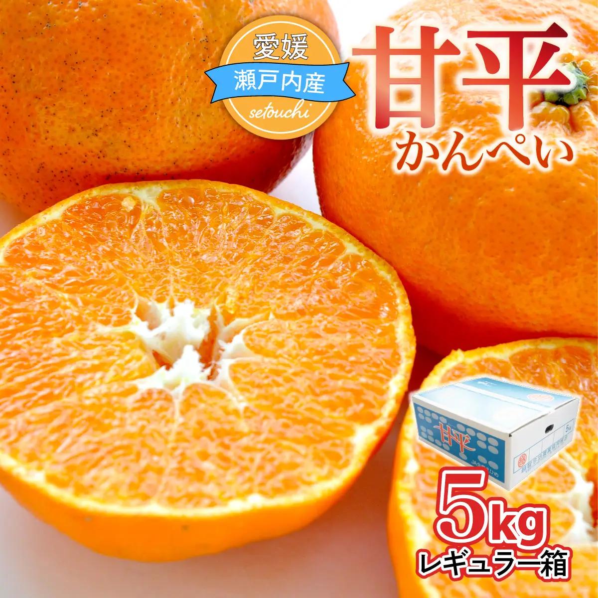 甘平 ＜先行受付＞ レギュラー箱 5kg 愛媛 みかん