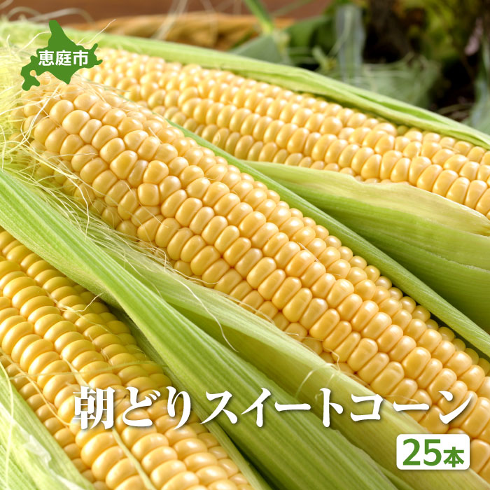 『★先行予約★8月初旬より順次発送』朝どり スイートコーン 25本 北海道産 とうもろこし ふるさと納税 北海道 恵庭市【31000102】