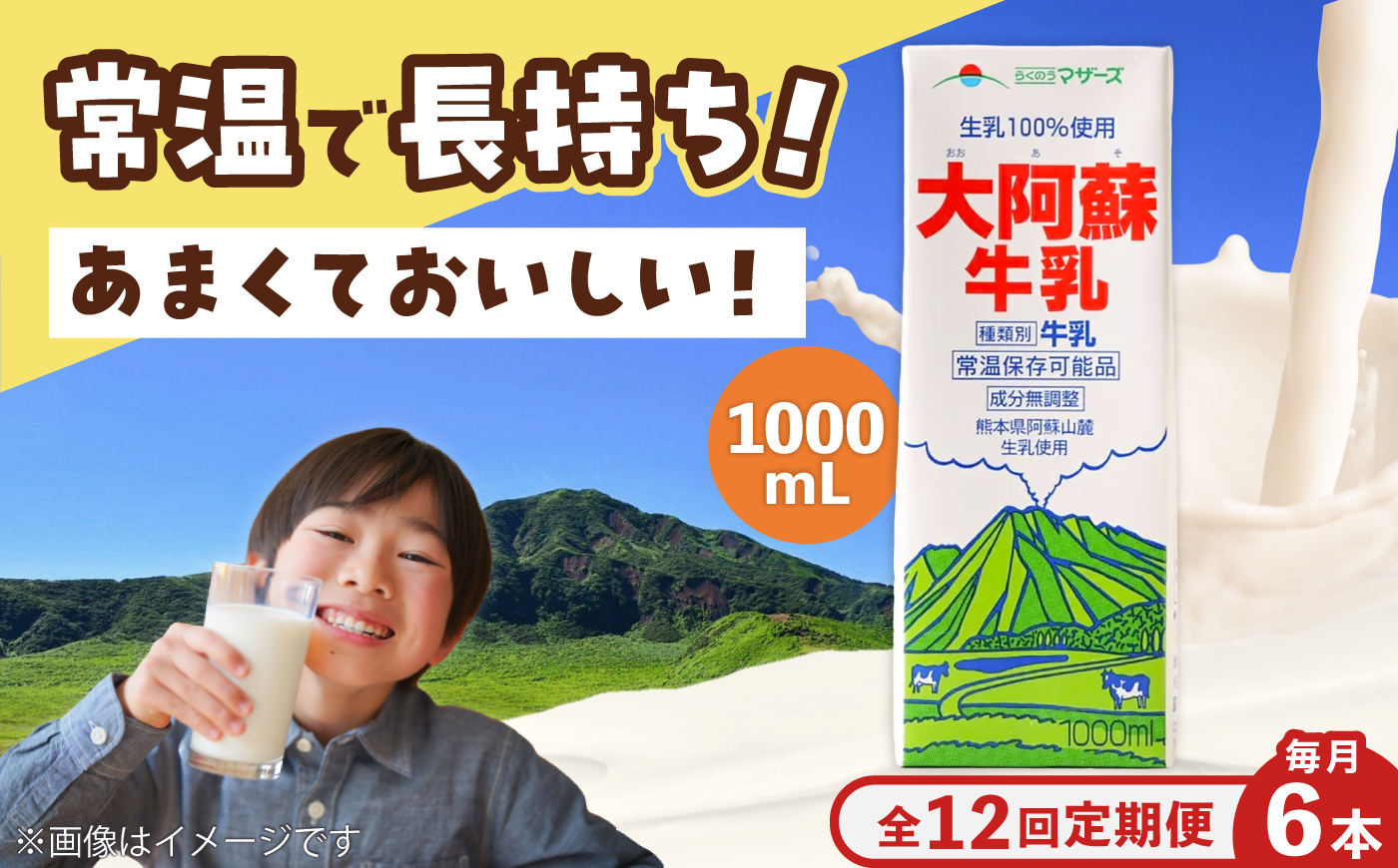 【全12回定期便】大阿蘇 牛乳 1000ml 紙パック 6本入【合同会社 たべたせいか】 [BHBY026]