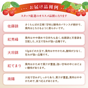 《先行受付》「赤い宝石」おまかせさくらんぼ 200ｇ×4Ｐ【2026年6月頃より順次発送予定】 060-022