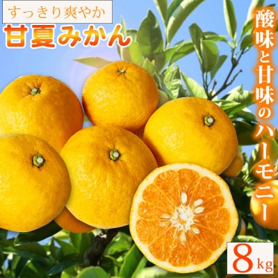 【ご家庭用訳あり】紀州有田産　すっきり爽やか　甘夏みかん　8kg【配送不可地域：離島】【1603672】