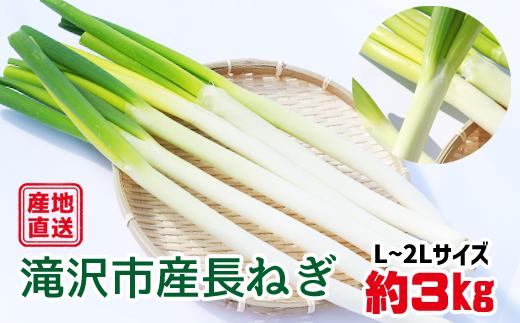 長ねぎ 約 3kg （ L ～ 2L 20本 ～ 30本 程度 ）【滝沢産業開発株式会社】／ ３ｋｇ ３kg 3キロ ３キロ 野菜 やさい 長ネギ 長葱 ねぎ ネギ 葱 数量限定 期間限定 季節限定 旬 旬野菜 新鮮 産地直送 産直 年間出荷量 1位 １位 人気 おすすめ